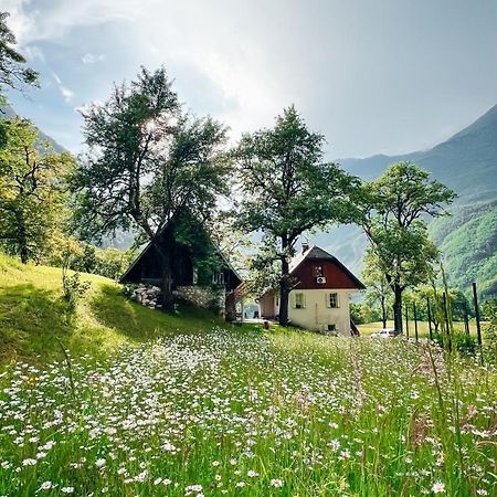 Apartments Mala Korita Soce Soča エクステリア 写真