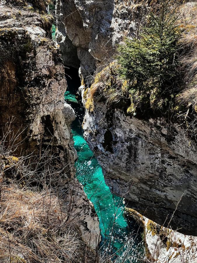 Apartments Mala Korita Soce Soča エクステリア 写真