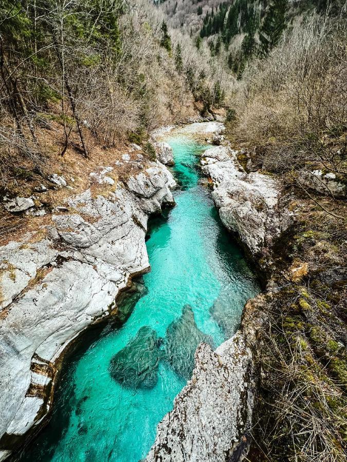 Apartments Mala Korita Soce Soča エクステリア 写真