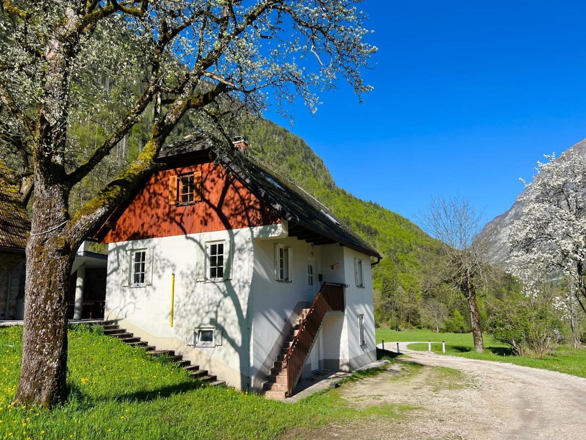 Apartments Mala Korita Soce Soča エクステリア 写真