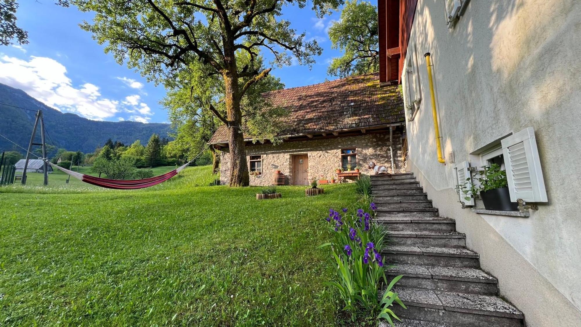 Apartments Mala Korita Soce Soča エクステリア 写真