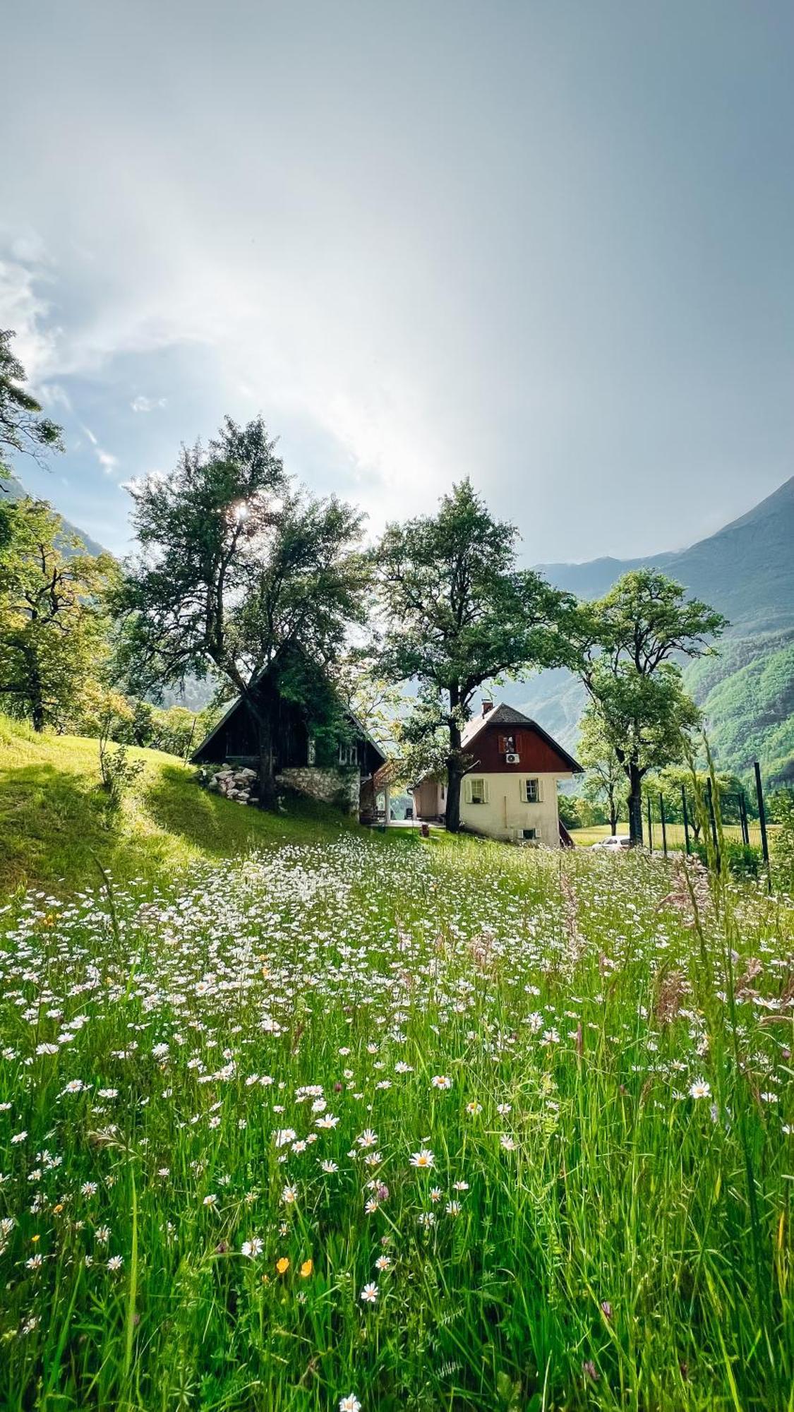 Apartments Mala Korita Soce Soča エクステリア 写真