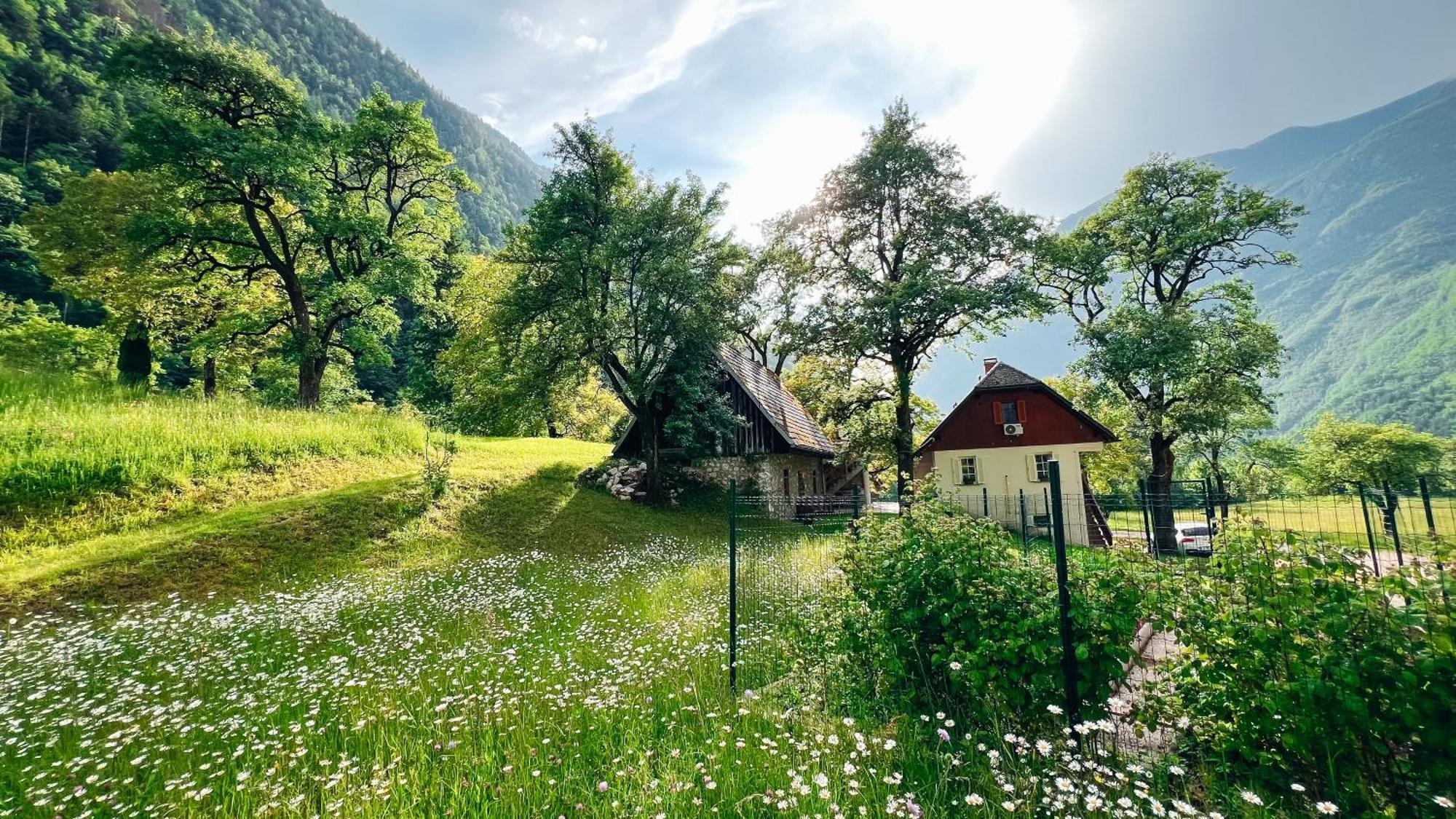 Apartments Mala Korita Soce Soča エクステリア 写真