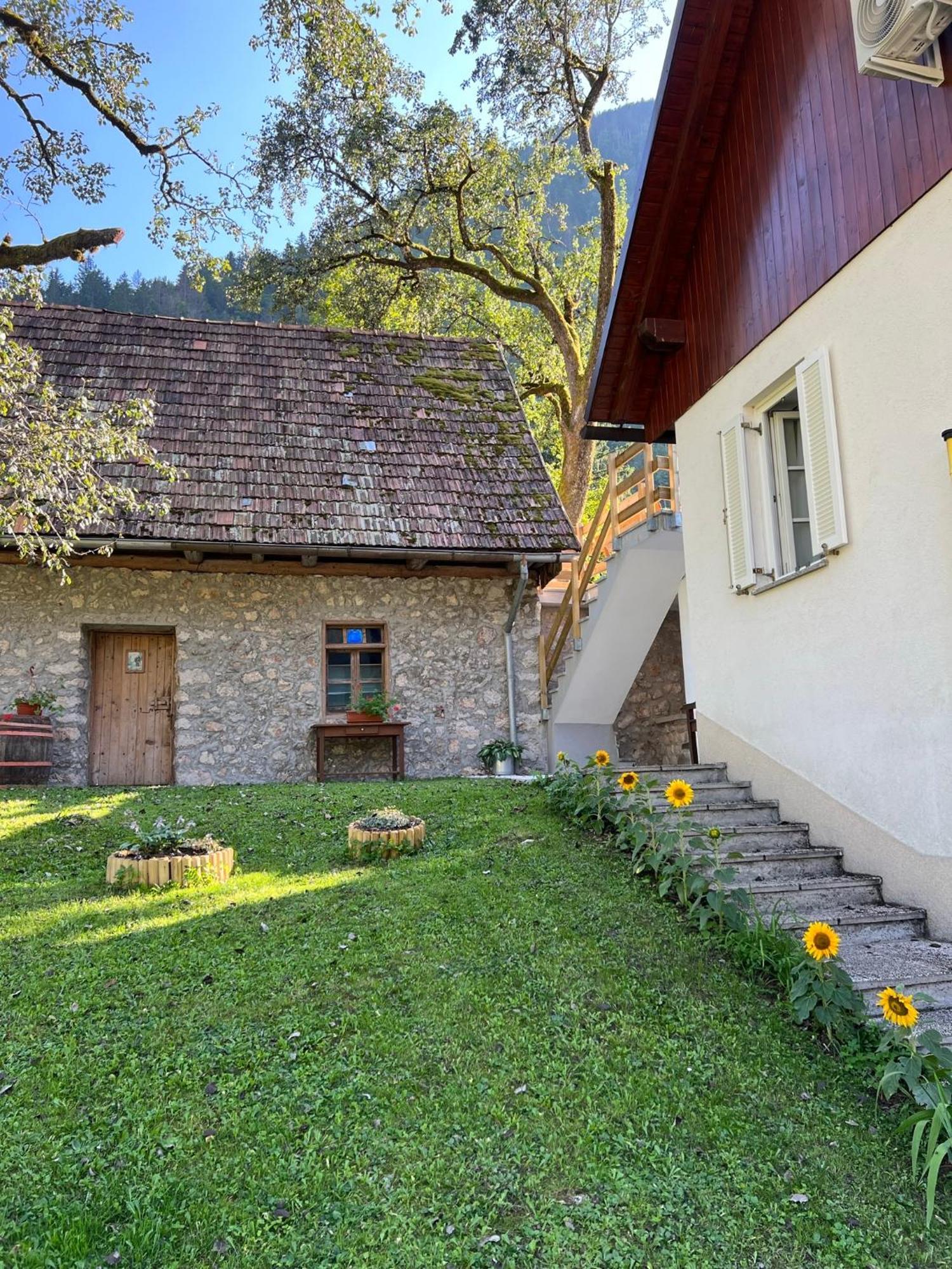 Apartments Mala Korita Soce Soča エクステリア 写真