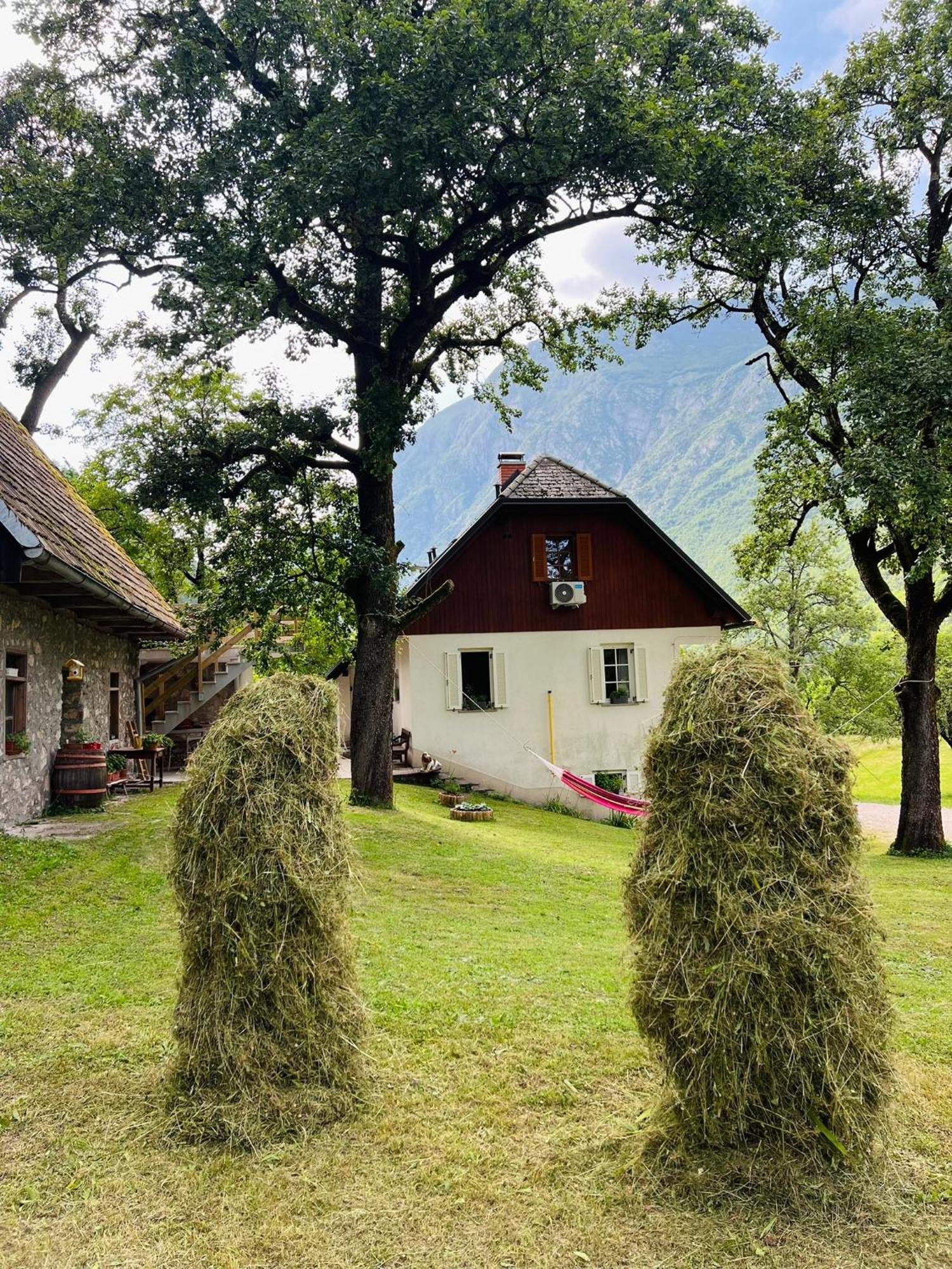 Apartments Mala Korita Soce Soča エクステリア 写真