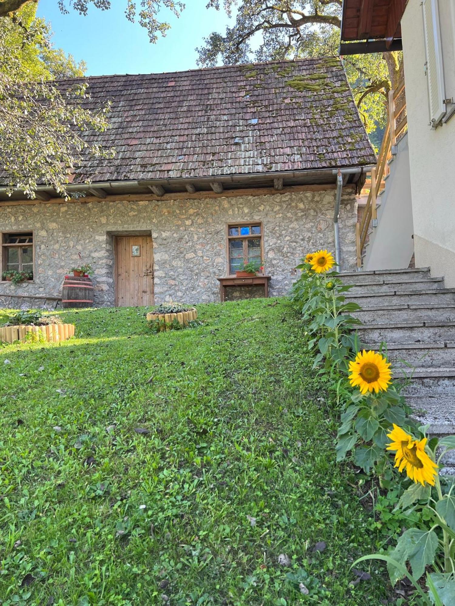 Apartments Mala Korita Soce Soča エクステリア 写真
