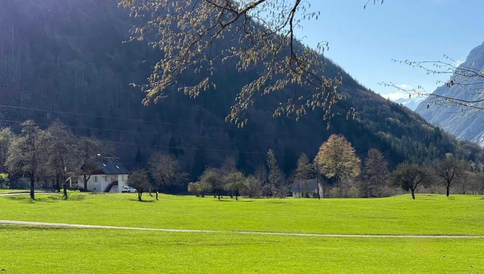 Apartments Mala Korita Soce Soča エクステリア 写真