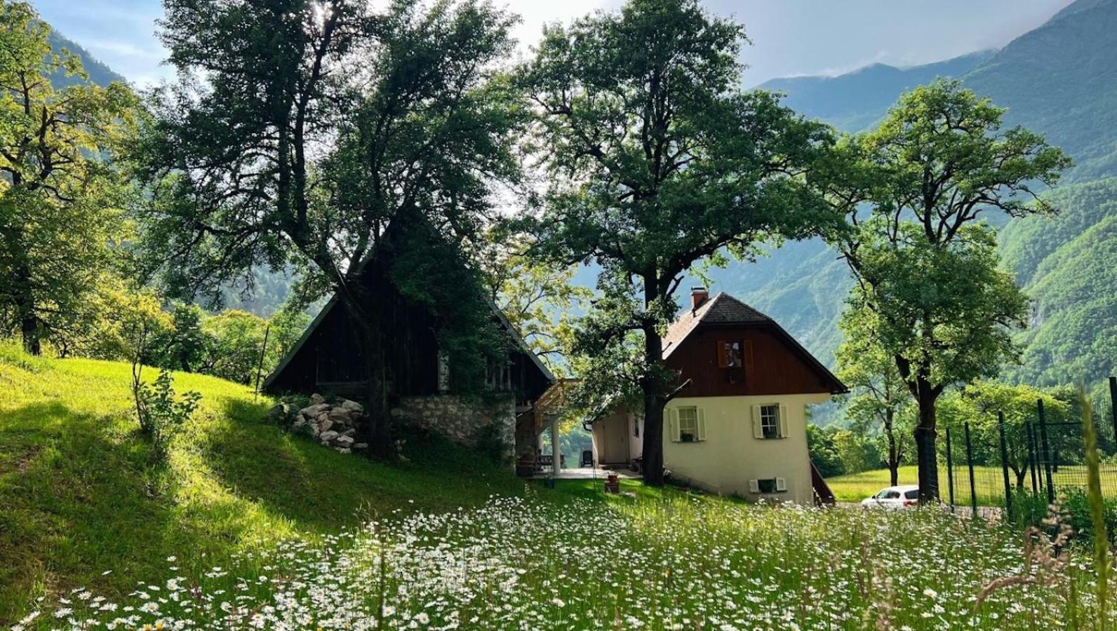 Apartments Mala Korita Soce Soča エクステリア 写真